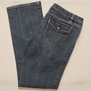 Ann Taylor LOFT Jeans Slim Boot Womens Dark Wash Denim Blue Size 10